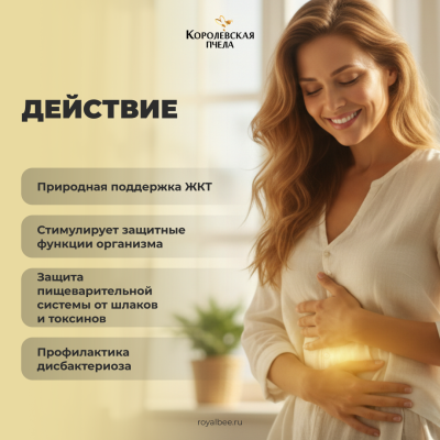 АПИ-КОМПЛЕКС для ЖКТ, 60 капсул